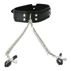 Collar With Nipple Clamps by Sportsheets from LoveMart Co.
