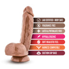 X5 Mister Grande - Latin by Blush from LoveMart Co.