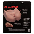 Stroke It Life-Size Pussy by CalExotics from LoveMart Co.