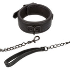 Nocturnal Collection Collar and Leash by CalExotics from LoveMart Co.