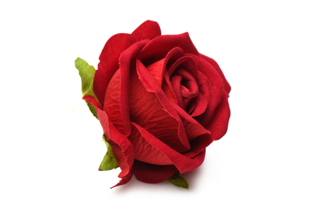 The Rose Lover's Gift Box Bloomgasm by XR Brands from LoveMart Co.