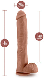 Au Naturel - Daddy - 14 Inch Dildo - Mocha by Blush from LoveMart Co.