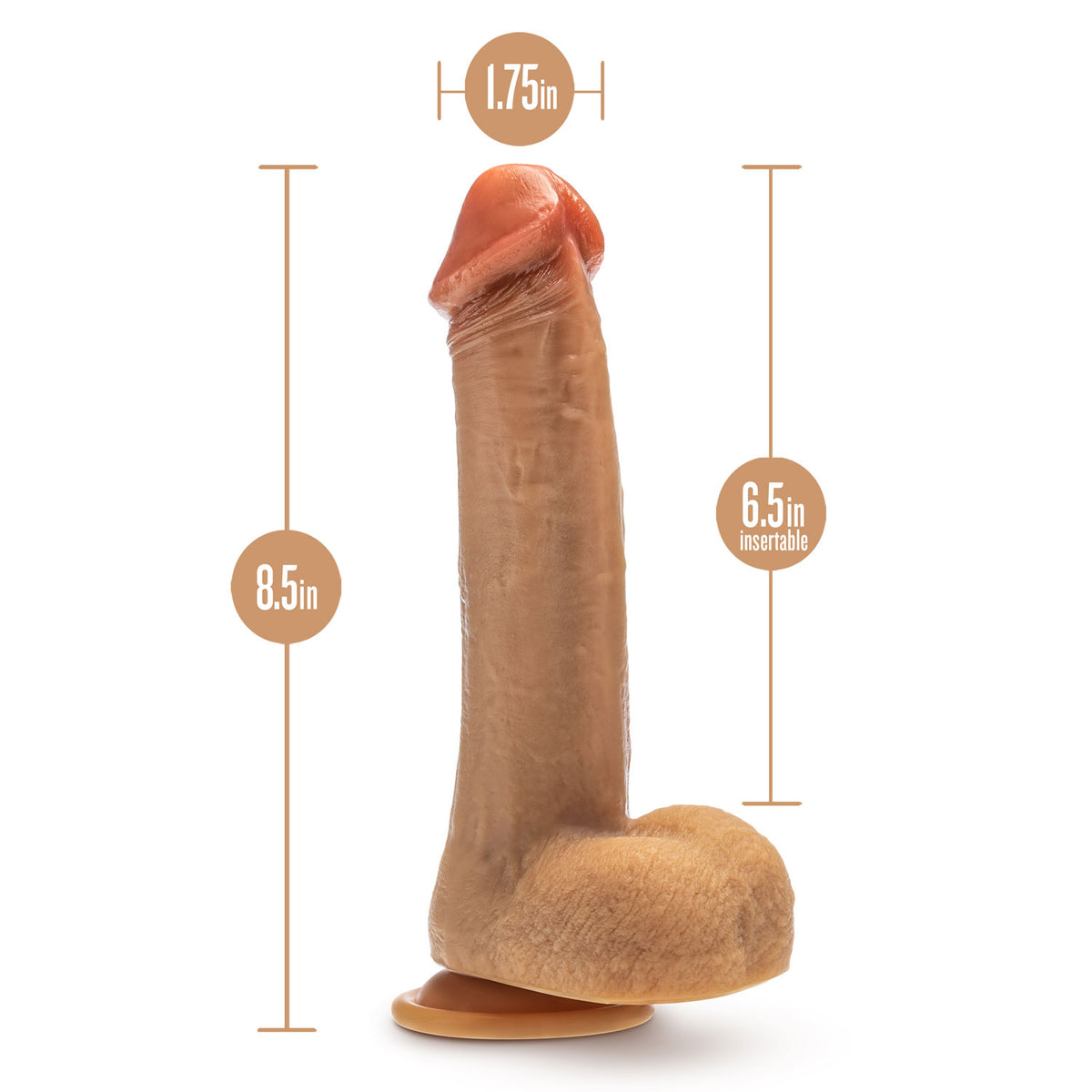 Dr. Skin Silicone - Dr. Phillips - 8.5 Inch Thrusting Dildo by Blush from LoveMart Co.