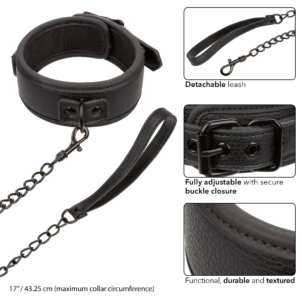 Nocturnal Collection Collar and Leash by CalExotics from LoveMart Co.