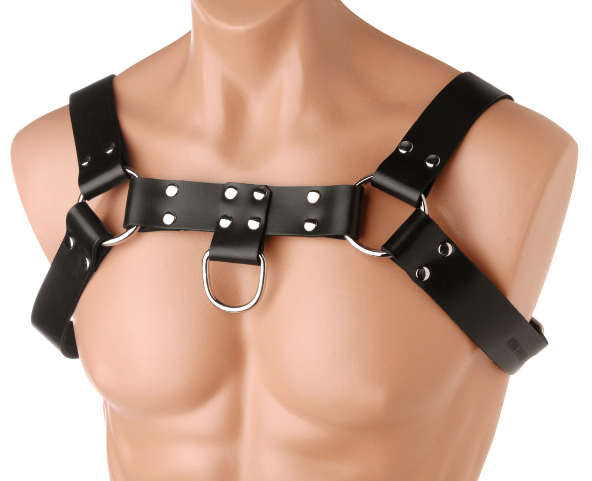 English Bull Dog Harness by XR Brands from LoveMart Co.
