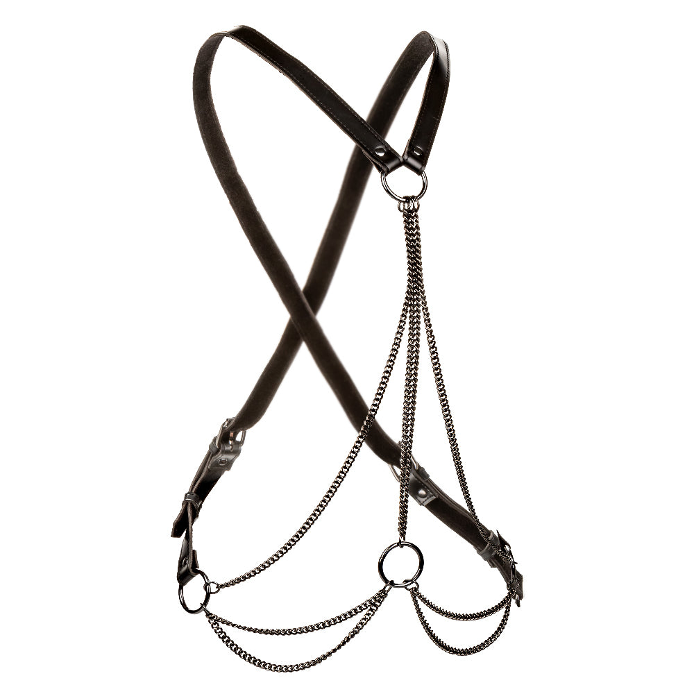 Euphoria Collection Plus Size Multi Chain Harness by CalExotics from LoveMart Co.