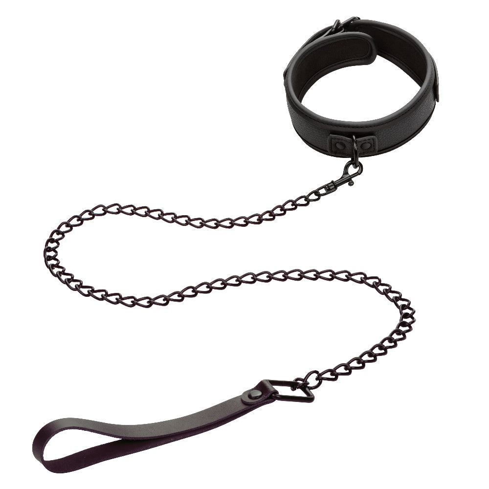 Nocturnal Collection Collar and Leash by CalExotics from LoveMart Co.