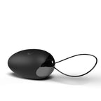 Premium Dual Vibe Remote and Egg by Screaming O from LoveMart Co.