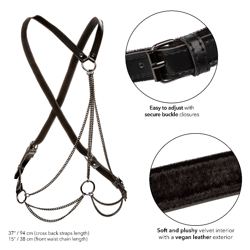 Euphoria Collection Multi Chain Harness by CalExotics from LoveMart Co.