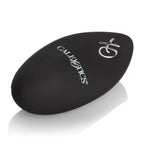 Silicone Remote Rechargeable Egg by CalExotics from LoveMart Co.