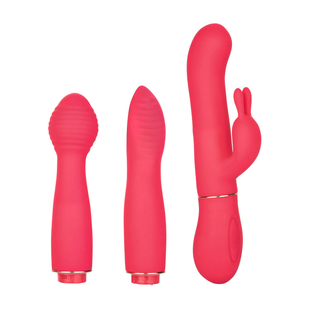 In Touch Dynamic Trio by CalExotics from LoveMart Co.