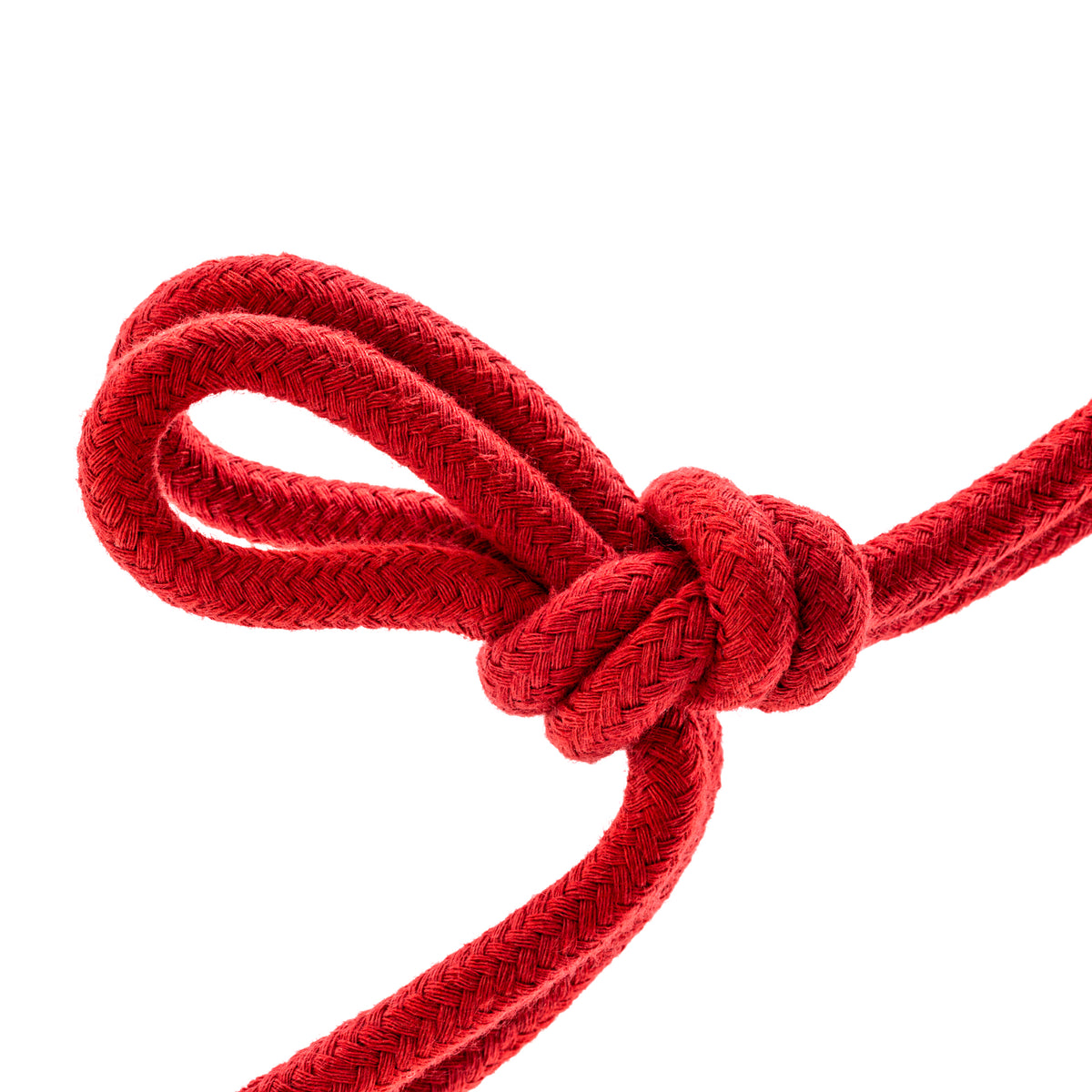 Temptasia - Bondage Rope - 32 Feet by Blush from LoveMart Co.