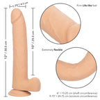 Size Queen 10 inch/25.5 Cm - Ivory by CalExotics from LoveMart Co.