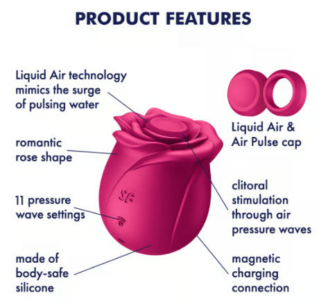 Pro 2 Classic Blossom - Plum by Satisfyer from LoveMart Co.