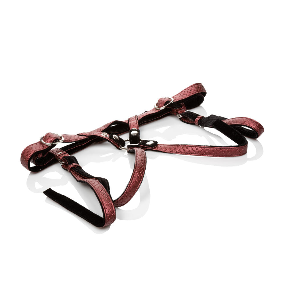 Her Royal Harness the Regal Duchess by CalExotics from LoveMart Co.