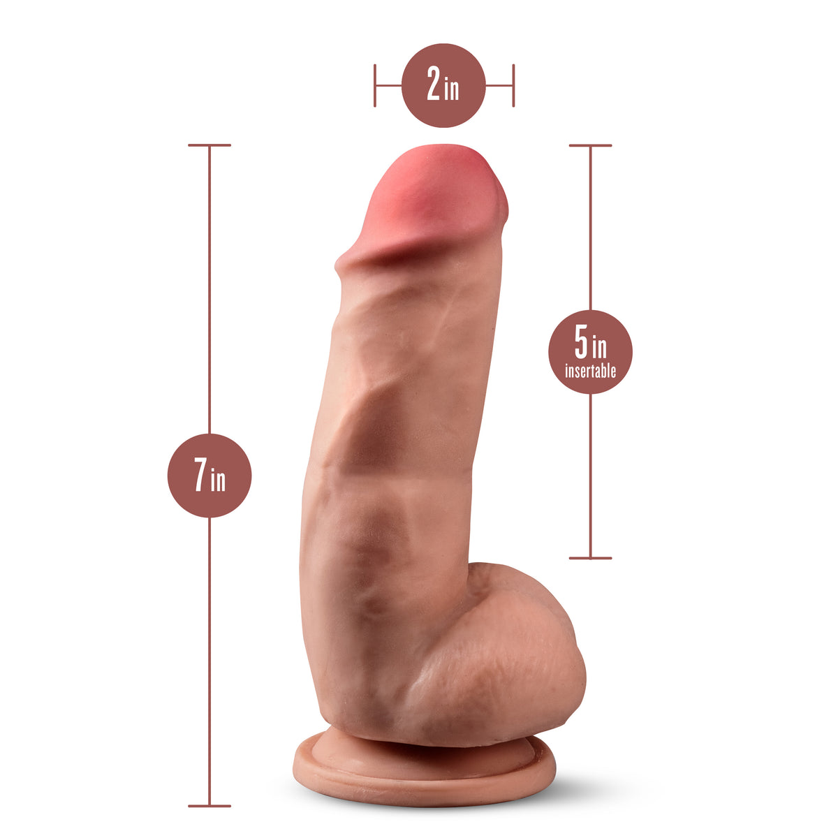 Dr. Skin Plus - 7 Inch Girthy Posable Dildo With Balls - Mocha by Blush from LoveMart Co.
