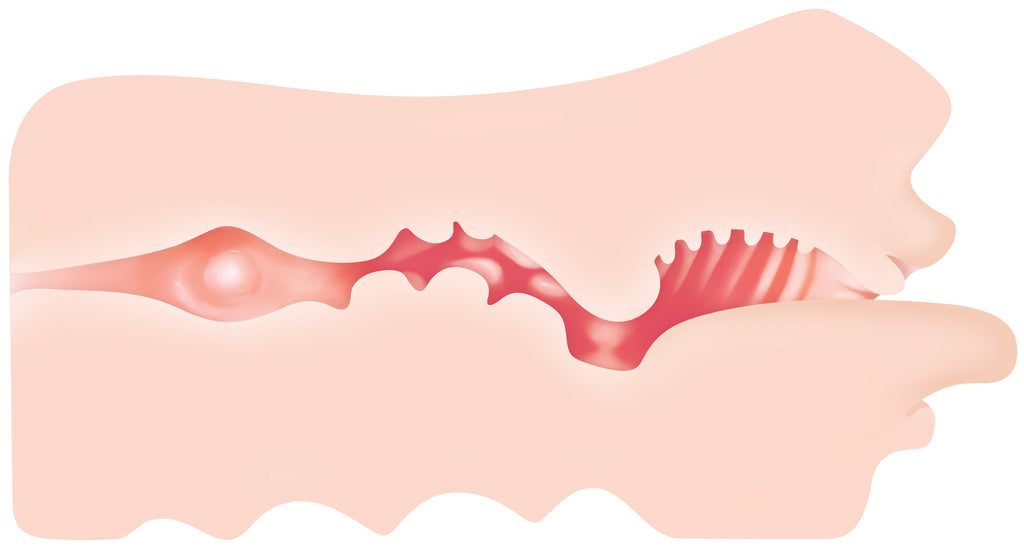 Real Mouth Stroker by Evolved Novelties from LoveMart Co.