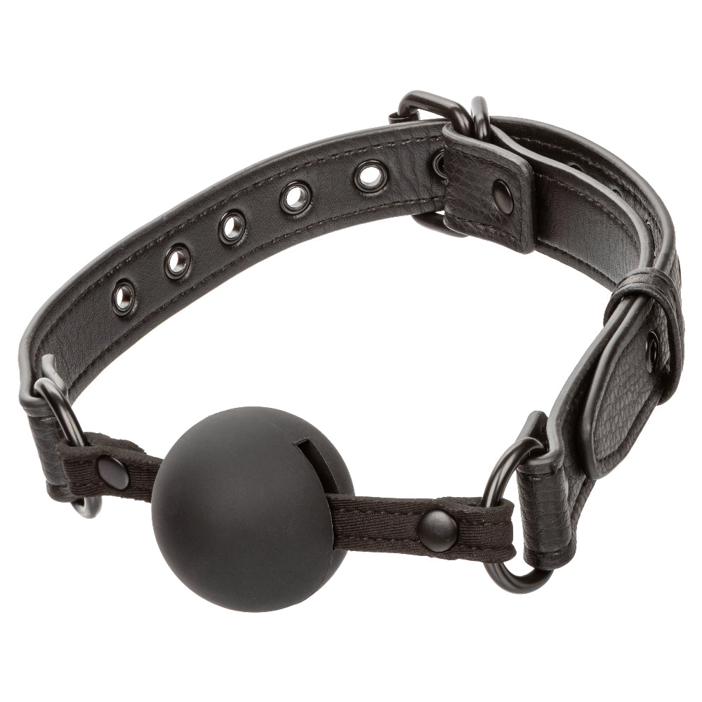 Nocturnal Collection Ball Gag by CalExotics from LoveMart Co.