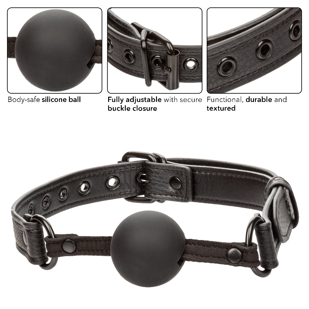 Nocturnal Collection Ball Gag by CalExotics from LoveMart Co.