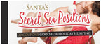 Santa's Secret Sex Position Coupons by Kheper Games from LoveMart Co.