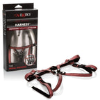 Her Royal Harness the Regal Duchess by CalExotics from LoveMart Co.