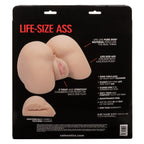 Stroke It Life-Size Ass by CalExotics from LoveMart Co.
